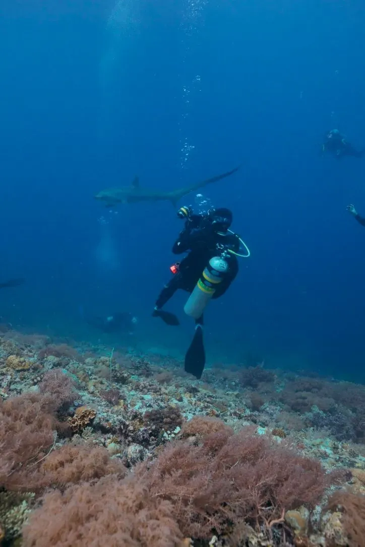 Филиппины, май 2025