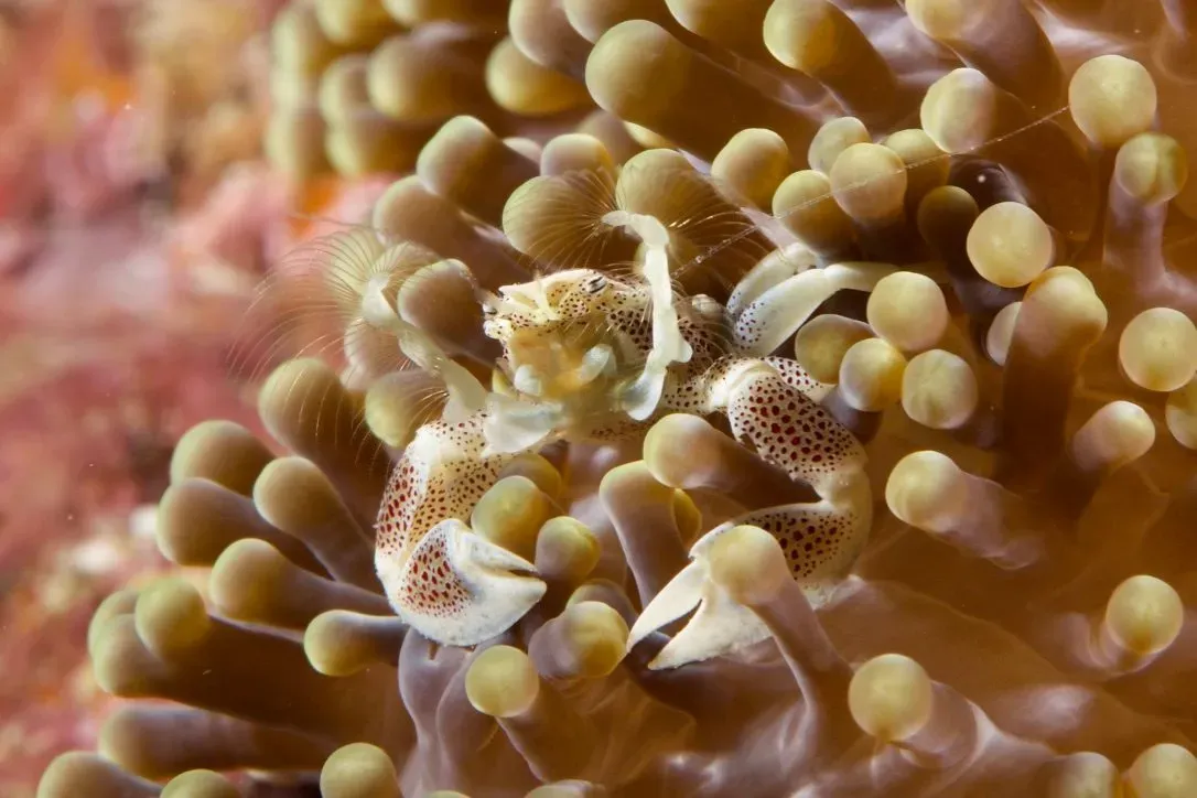 Филиппины, май 2025