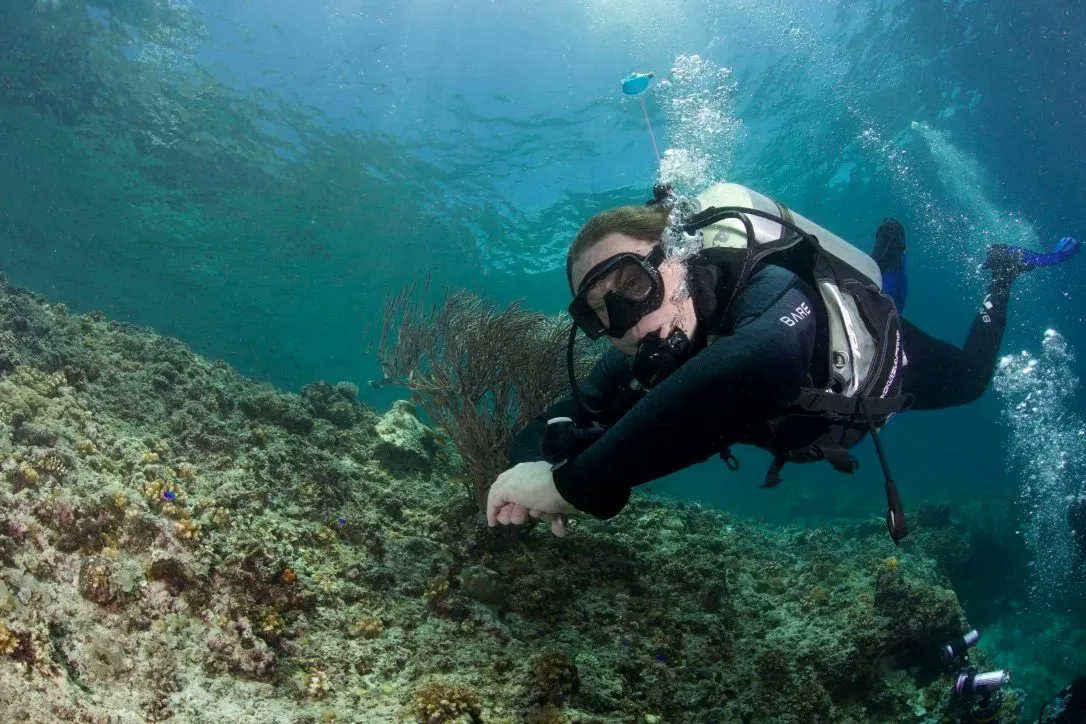 Филиппины, май 2025