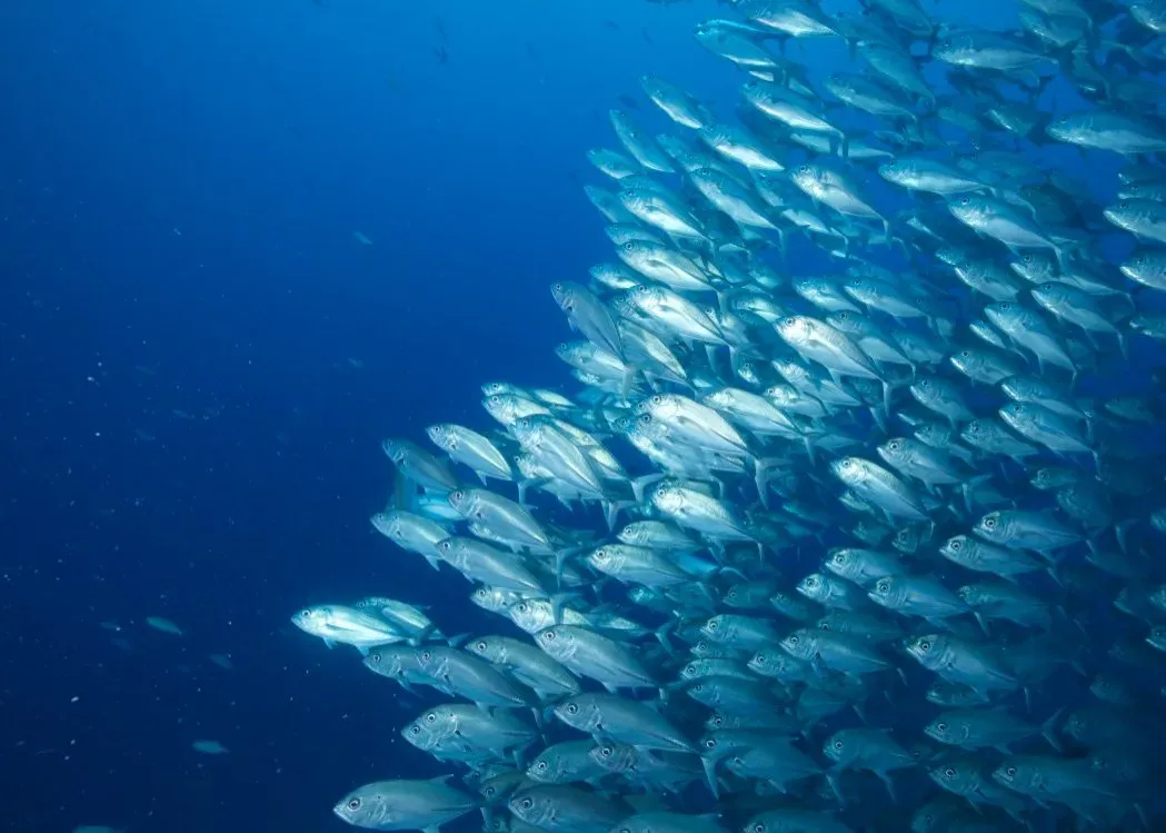 Филиппины, май 2025