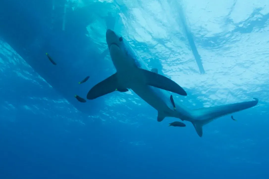 Филиппины, май 2025