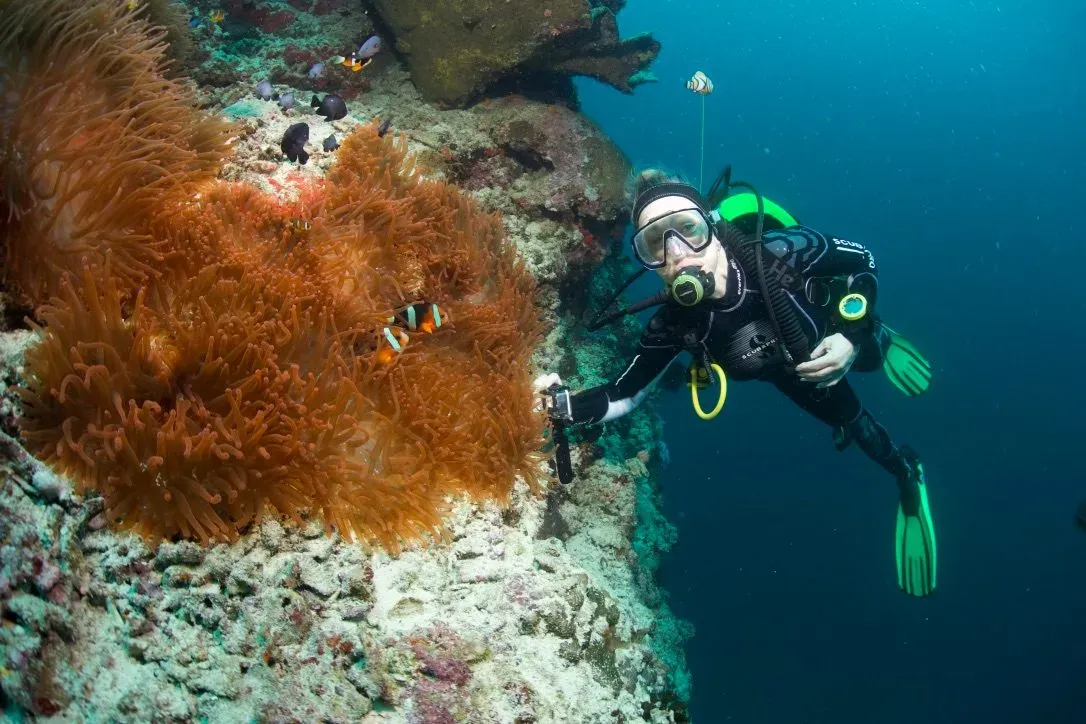 Филиппины, май 2025