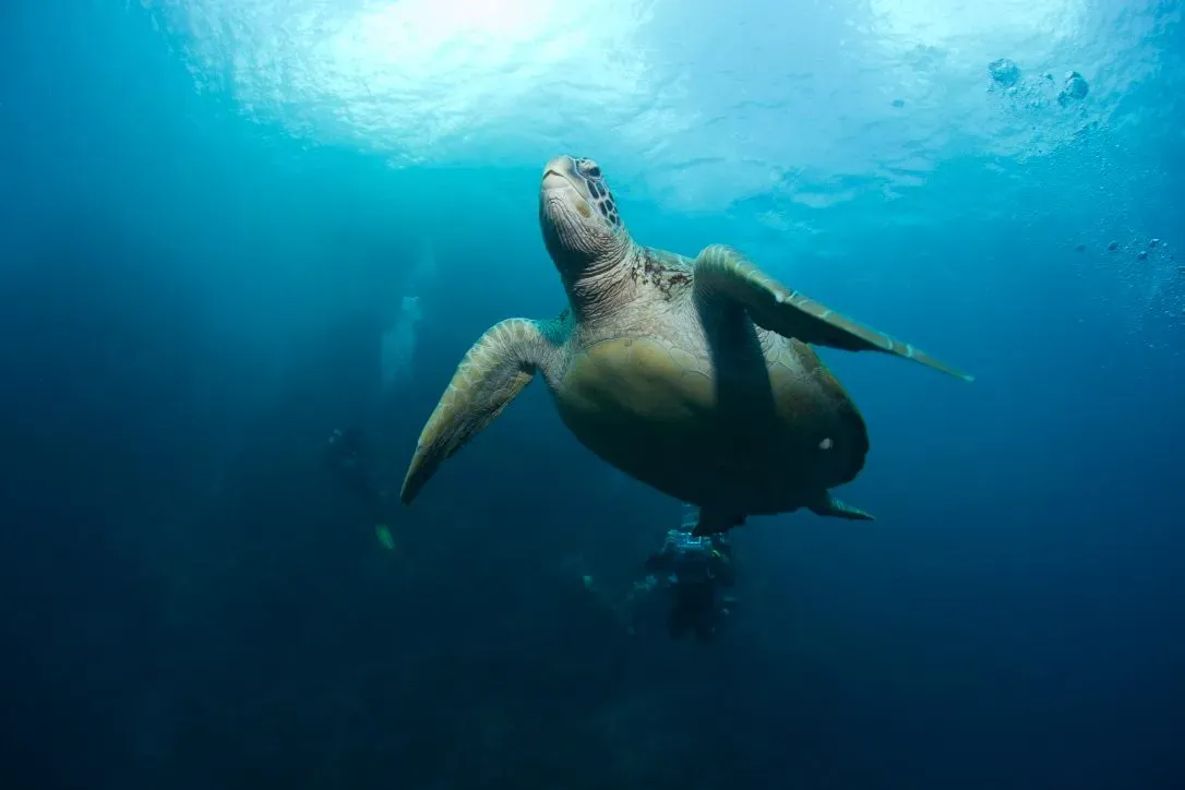 Филиппины, май 2025