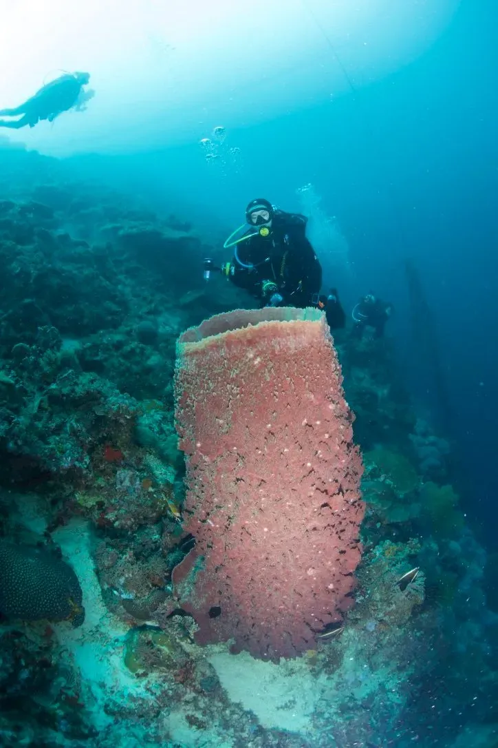 Филиппины, май 2025