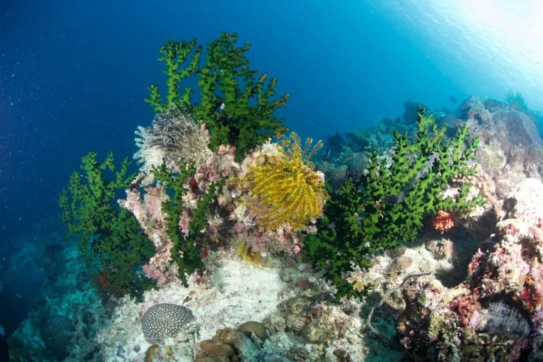 Филиппины, май 2025