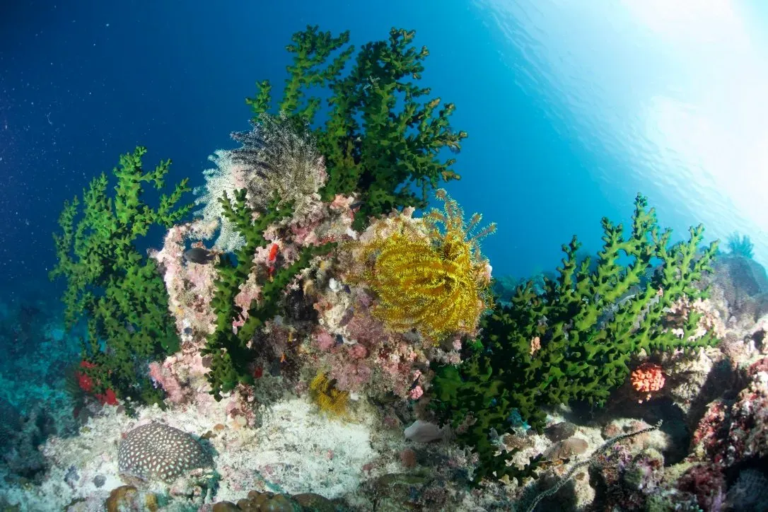 Филиппины, май 2025