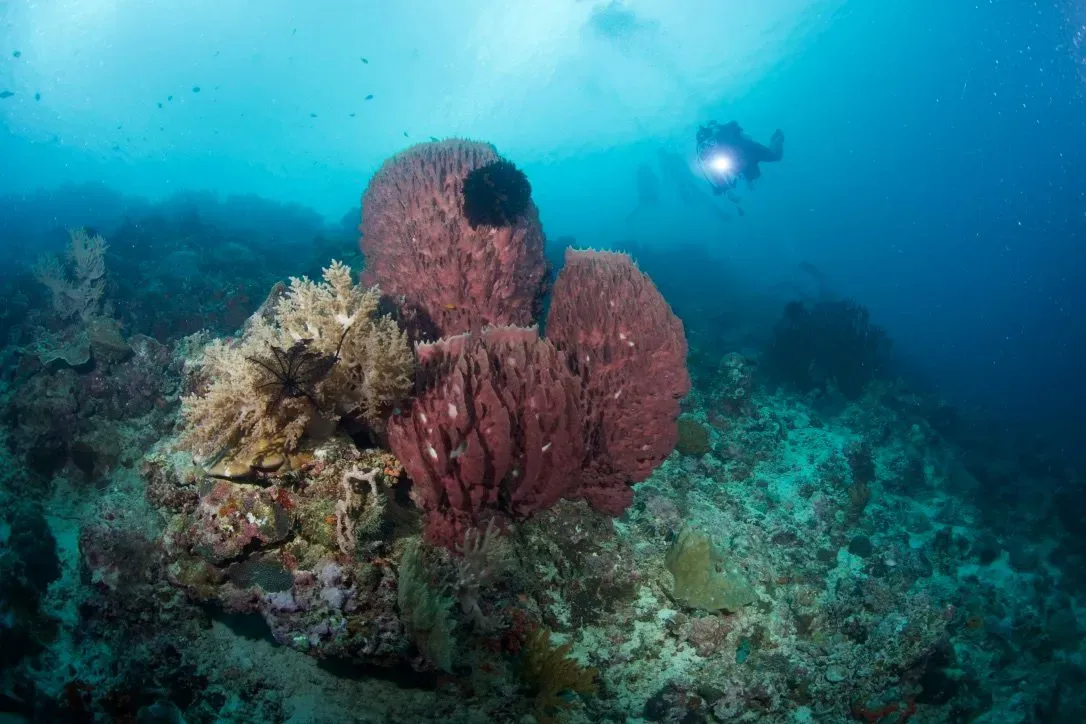 Филиппины, май 2025