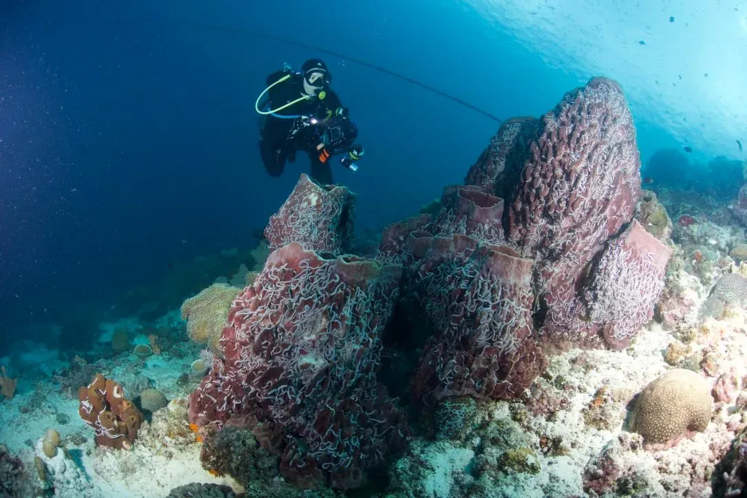 Филиппины, май 2025