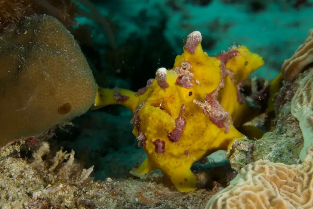 Филиппины, май 2025