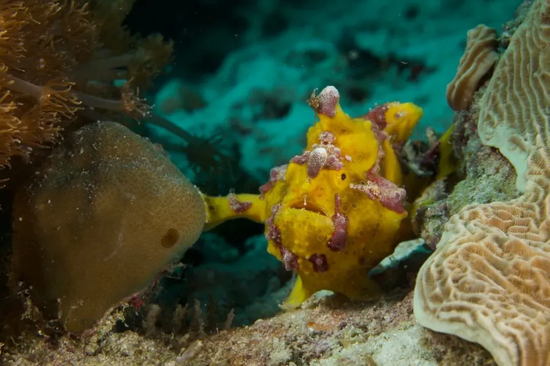 Филиппины, май 2025