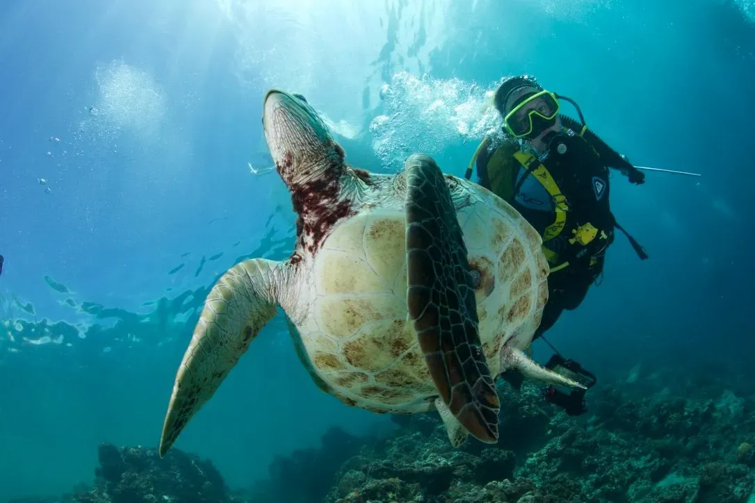 Филиппины, май 2025