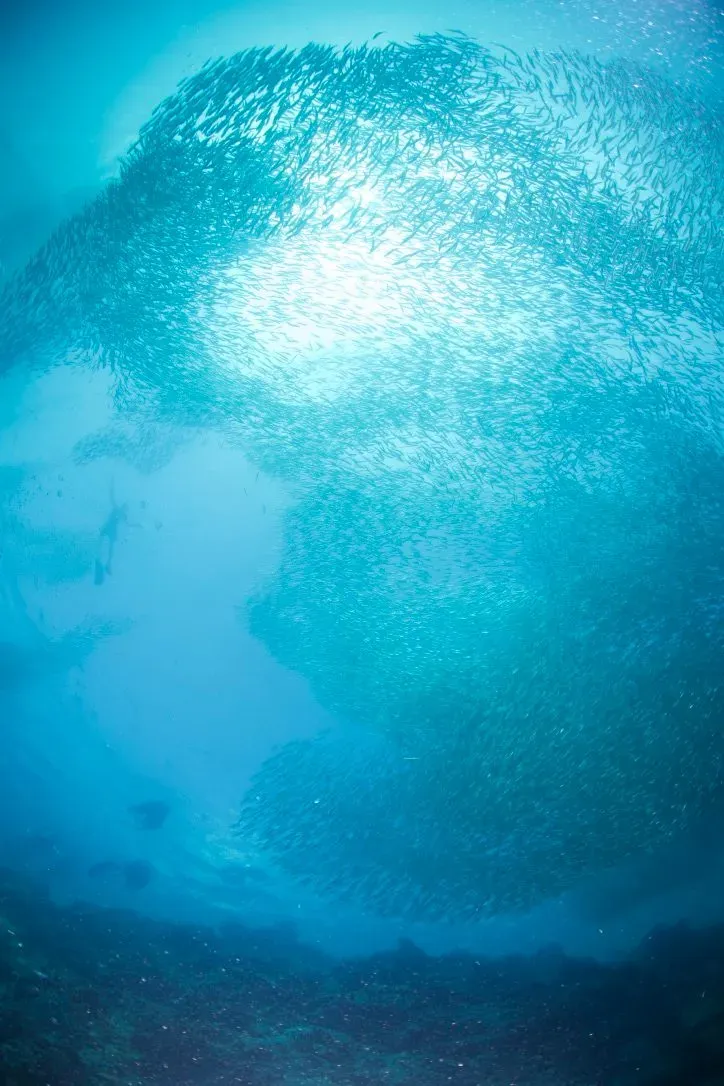 Филиппины, май 2025