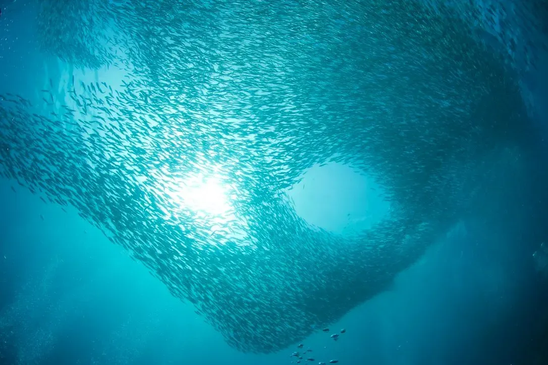 Филиппины, май 2025