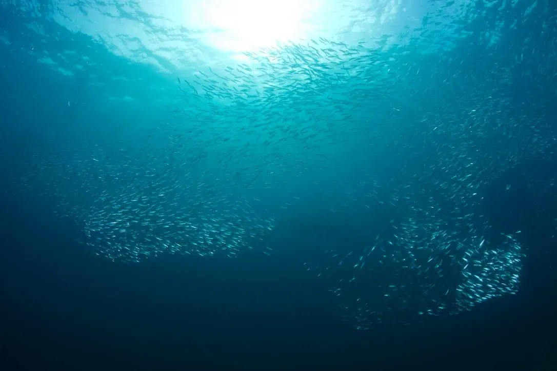 Филиппины, май 2025