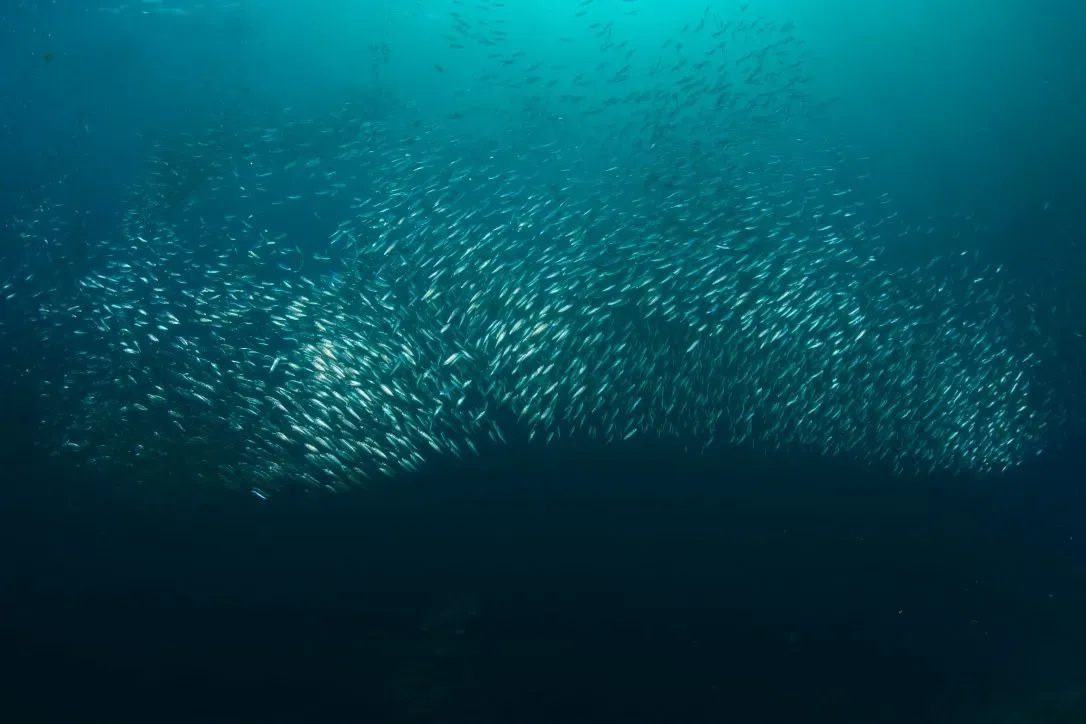 Филиппины, май 2025