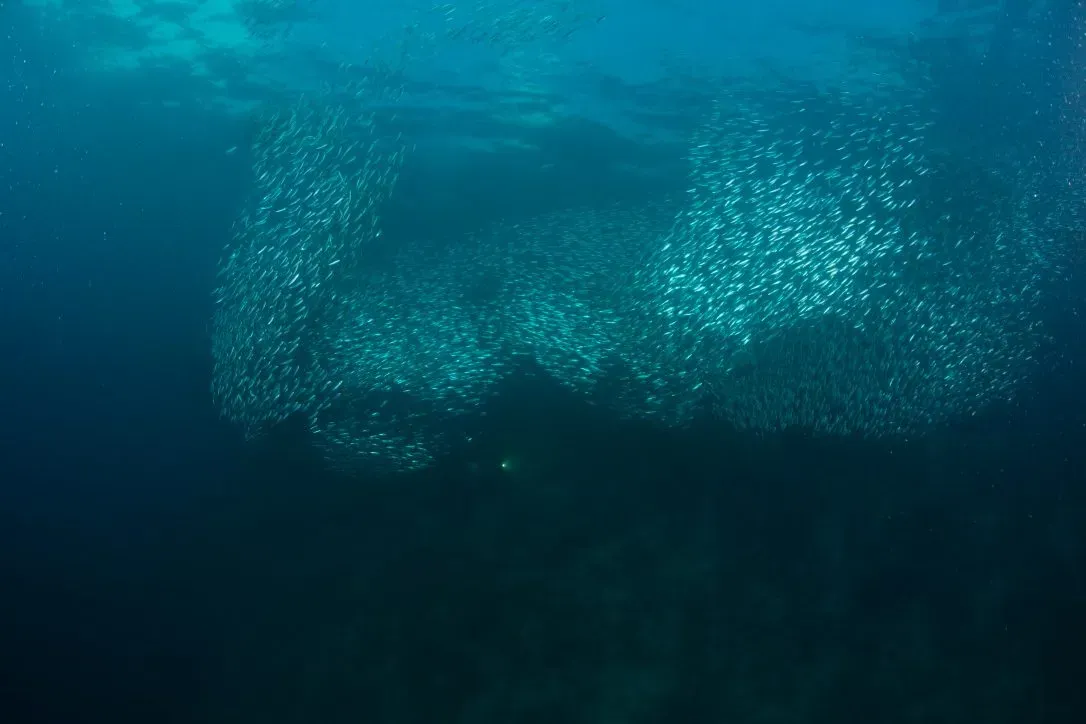 Филиппины, май 2025