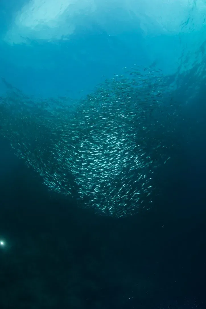 Филиппины, май 2025