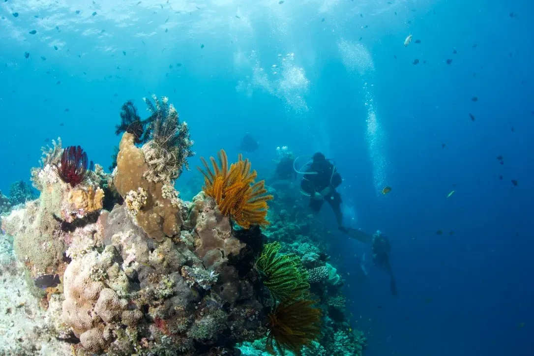 Филиппины, май 2025