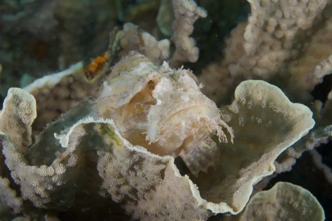 Филиппины, май 2025