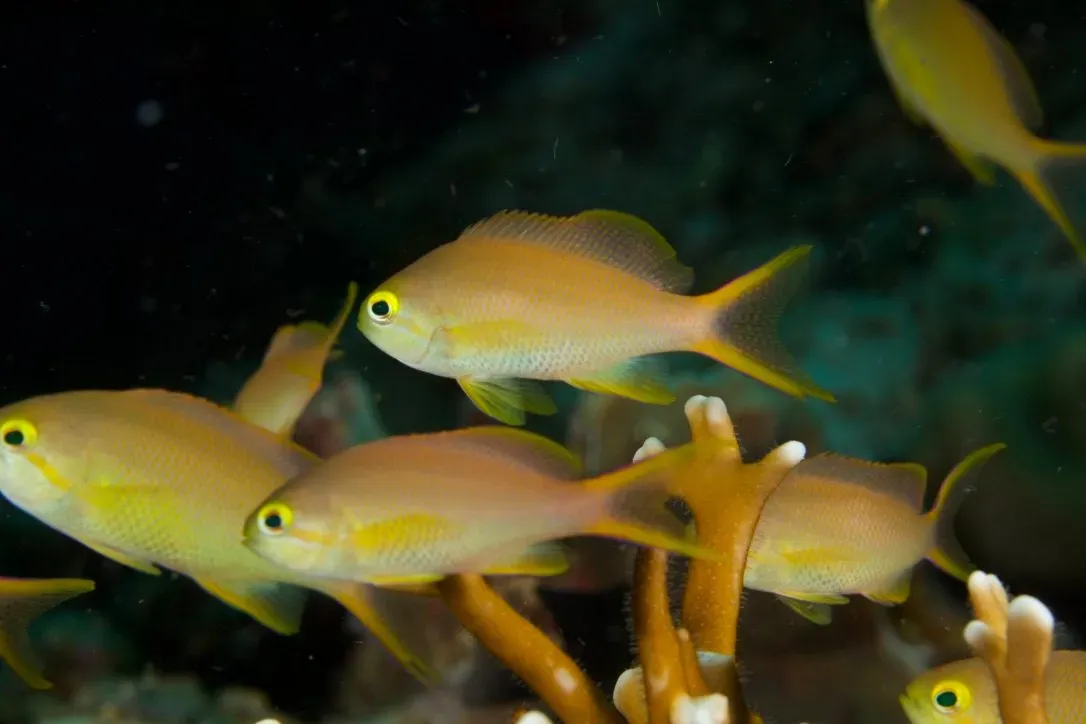 Филиппины, май 2025