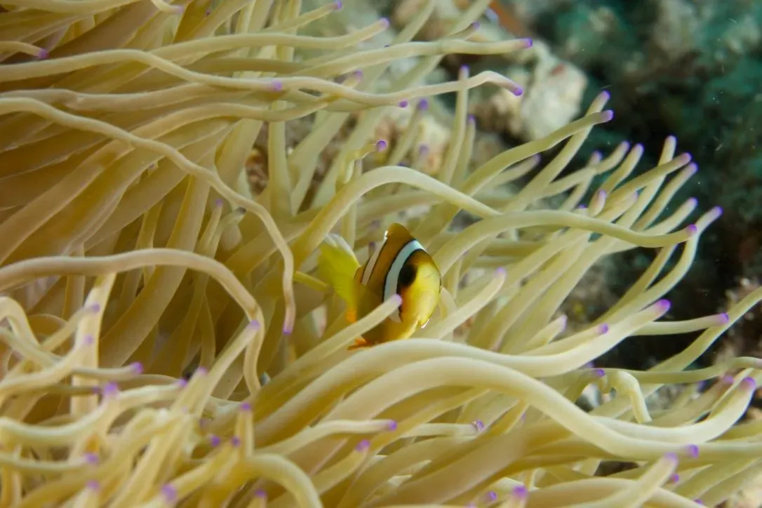 Филиппины, май 2025