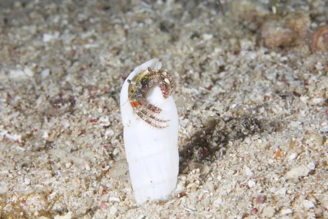 Филиппины, май 2025