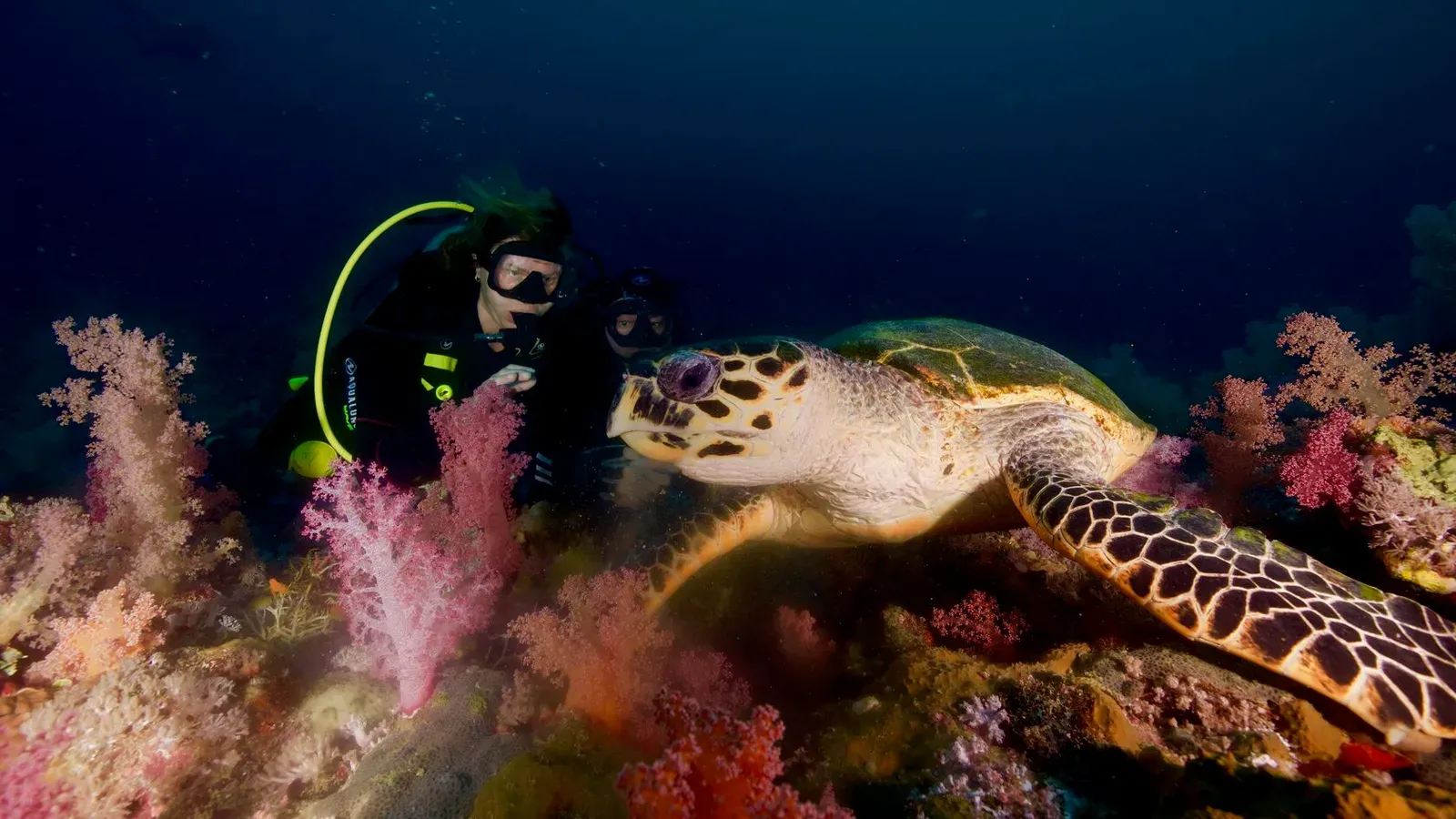 Саудовская Аравия, март 2025