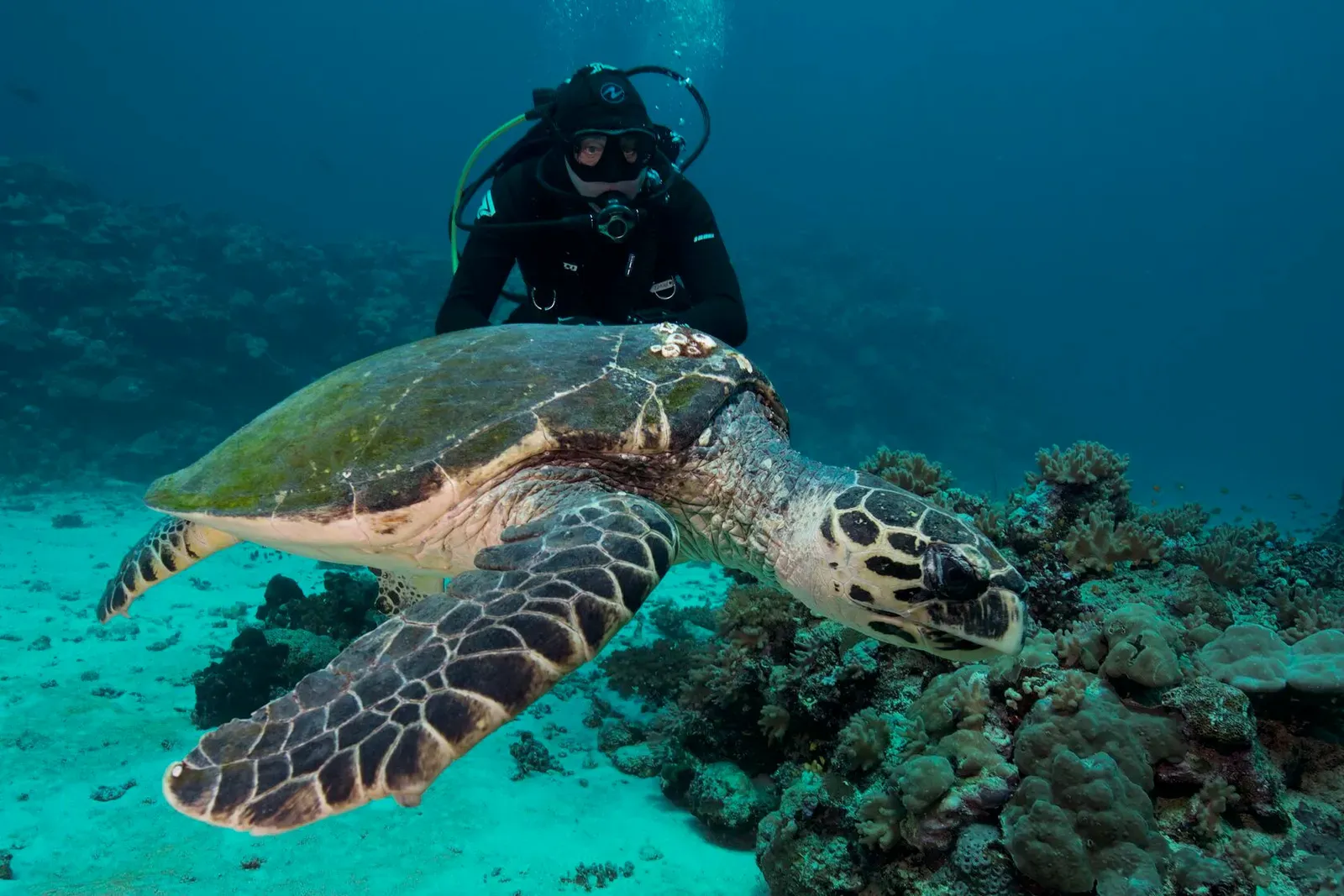 Саудовская Аравия, март 2025