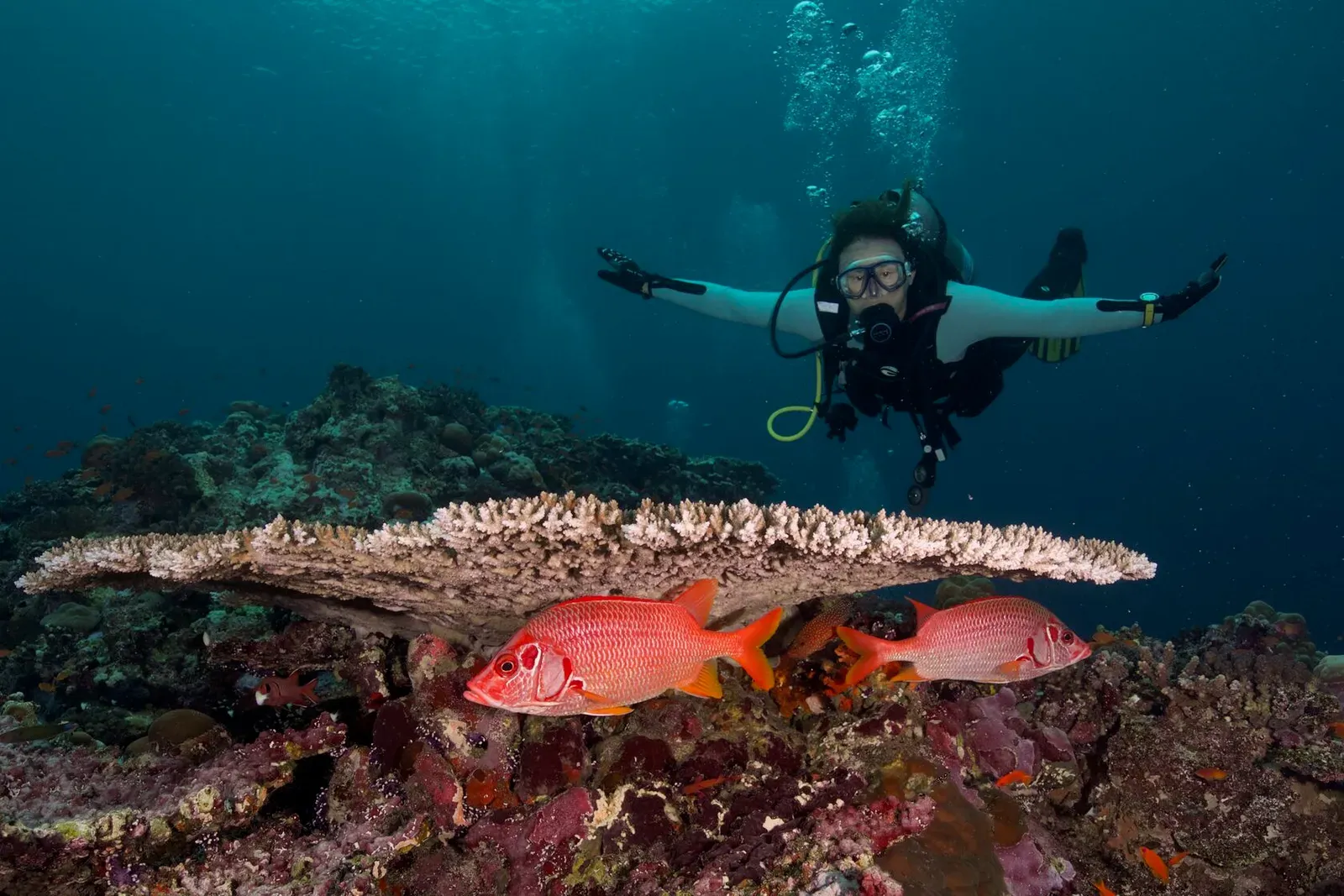 Саудовская Аравия, март 2025