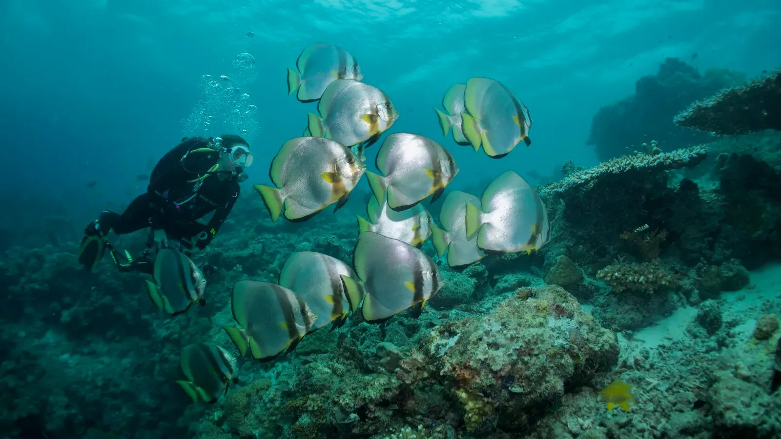 Сипадан, октябрь 2022