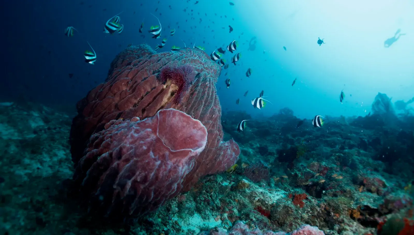 Сипадан, октябрь 2022