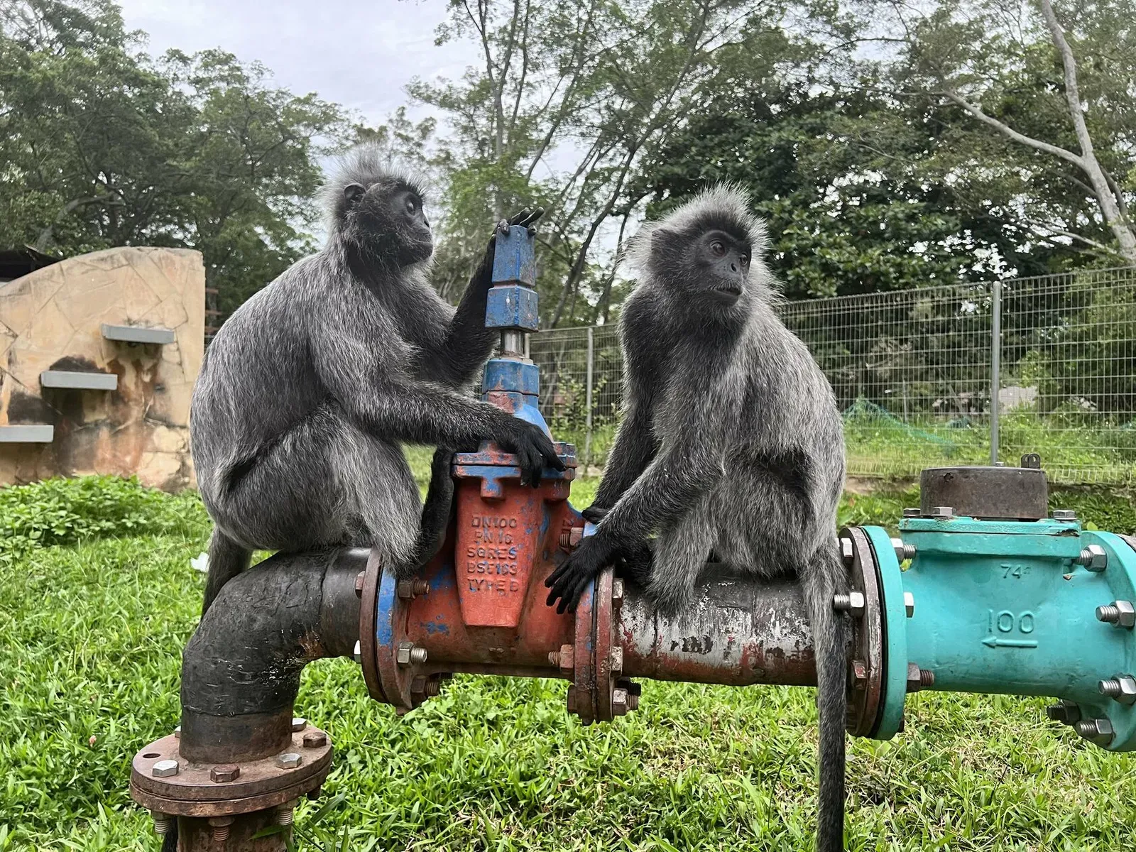 Сипадан, октябрь 2022