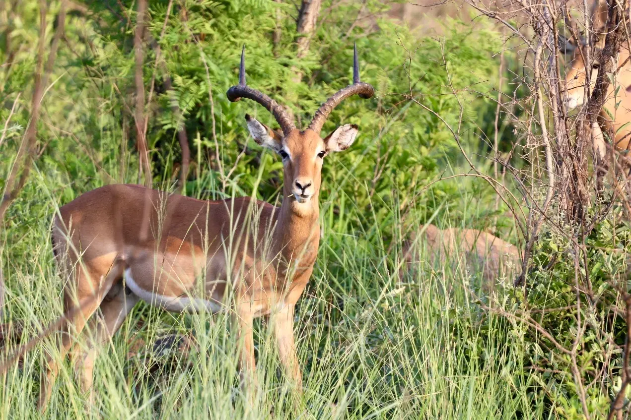 ЮАР, январь 2024