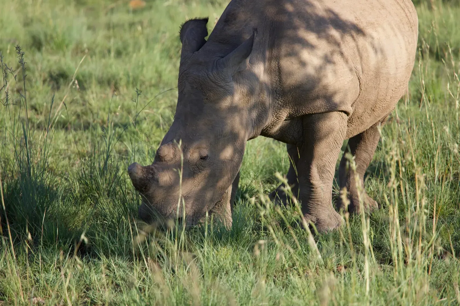 ЮАР, январь 2024