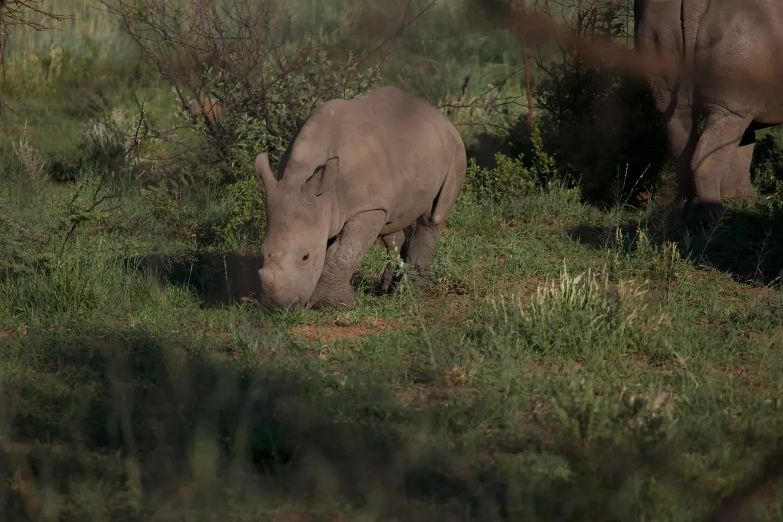 ЮАР, январь 2024