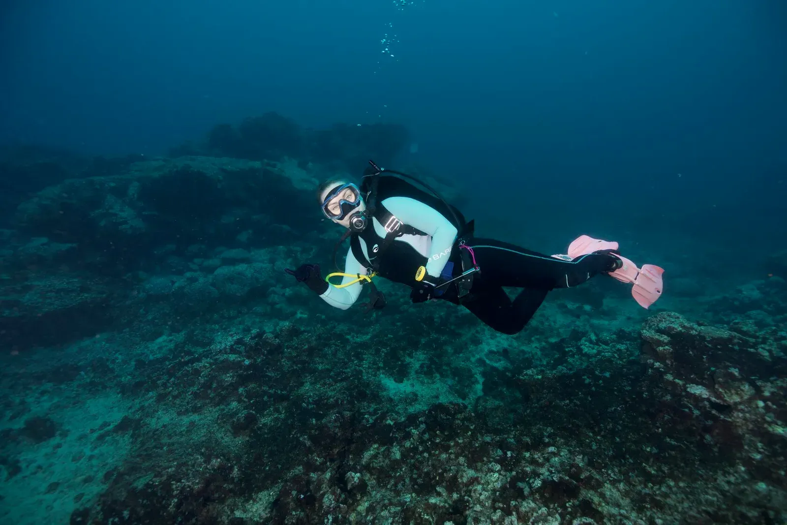 Остров св. Елены, январь 2025