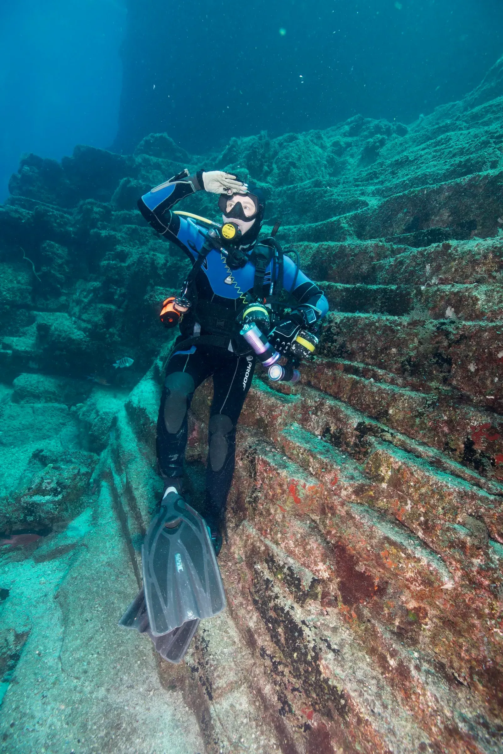 Остров св. Елены, январь 2025