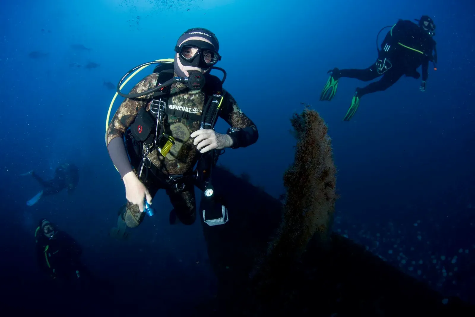 Остров св. Елены, январь 2025