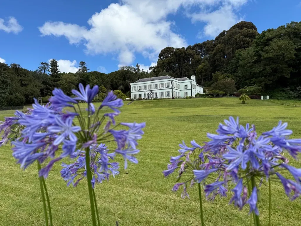 Остров св. Елены, январь 2025