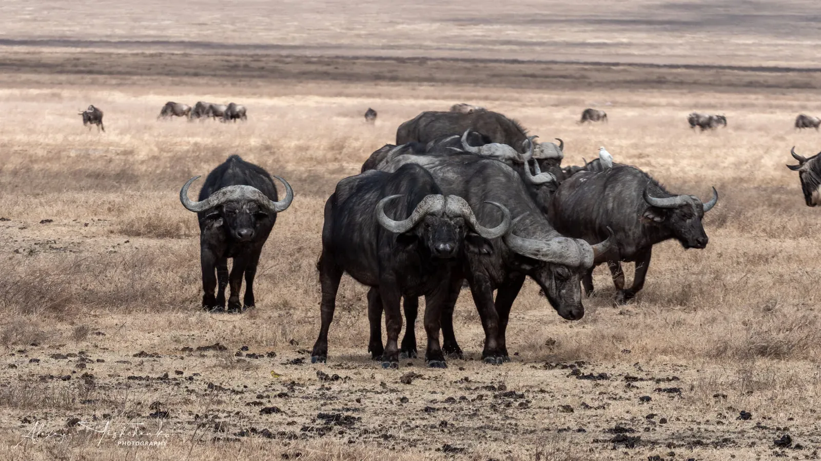 Танзания, ноябрь 2020