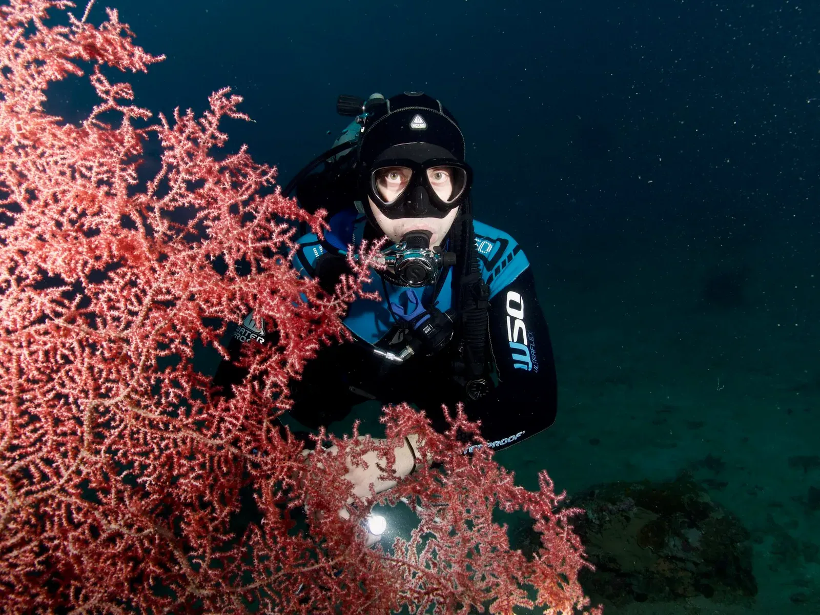 Тубботаха, май 2023