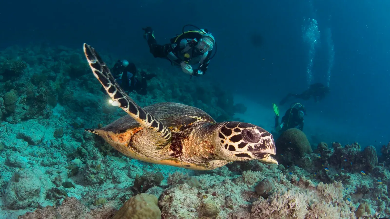 Тубботаха, май 2023