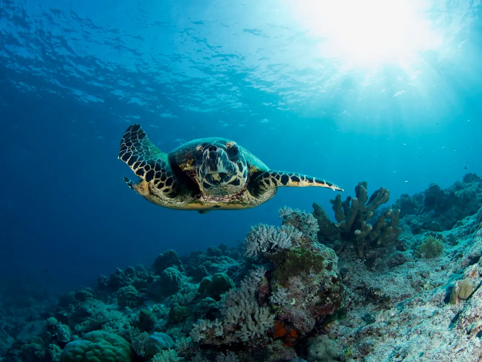 Тубботаха, май 2023