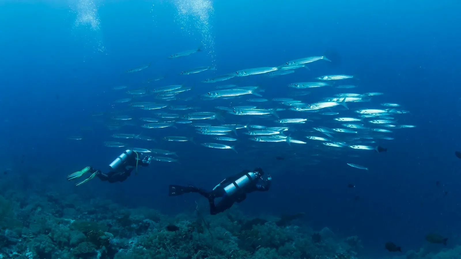 Тубботаха, май 2023