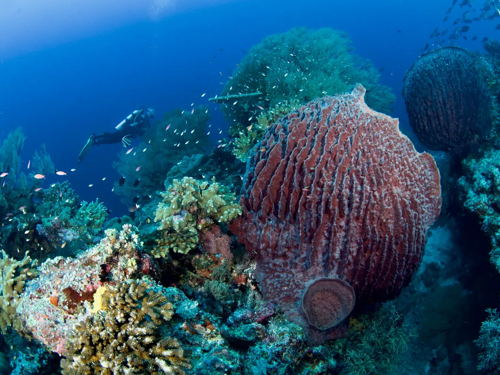 Тубботаха, май 2023