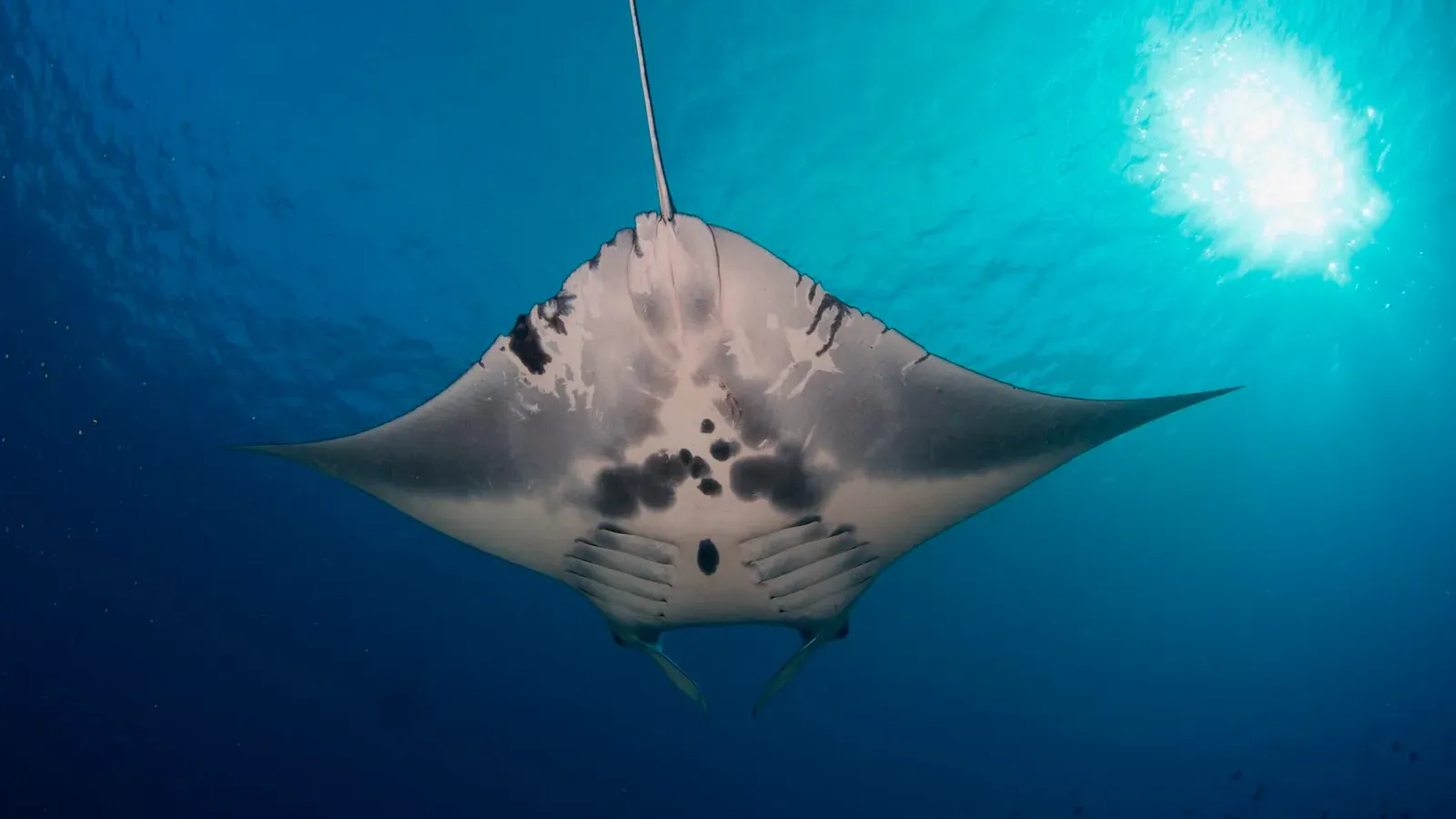 Тубботаха, май 2023