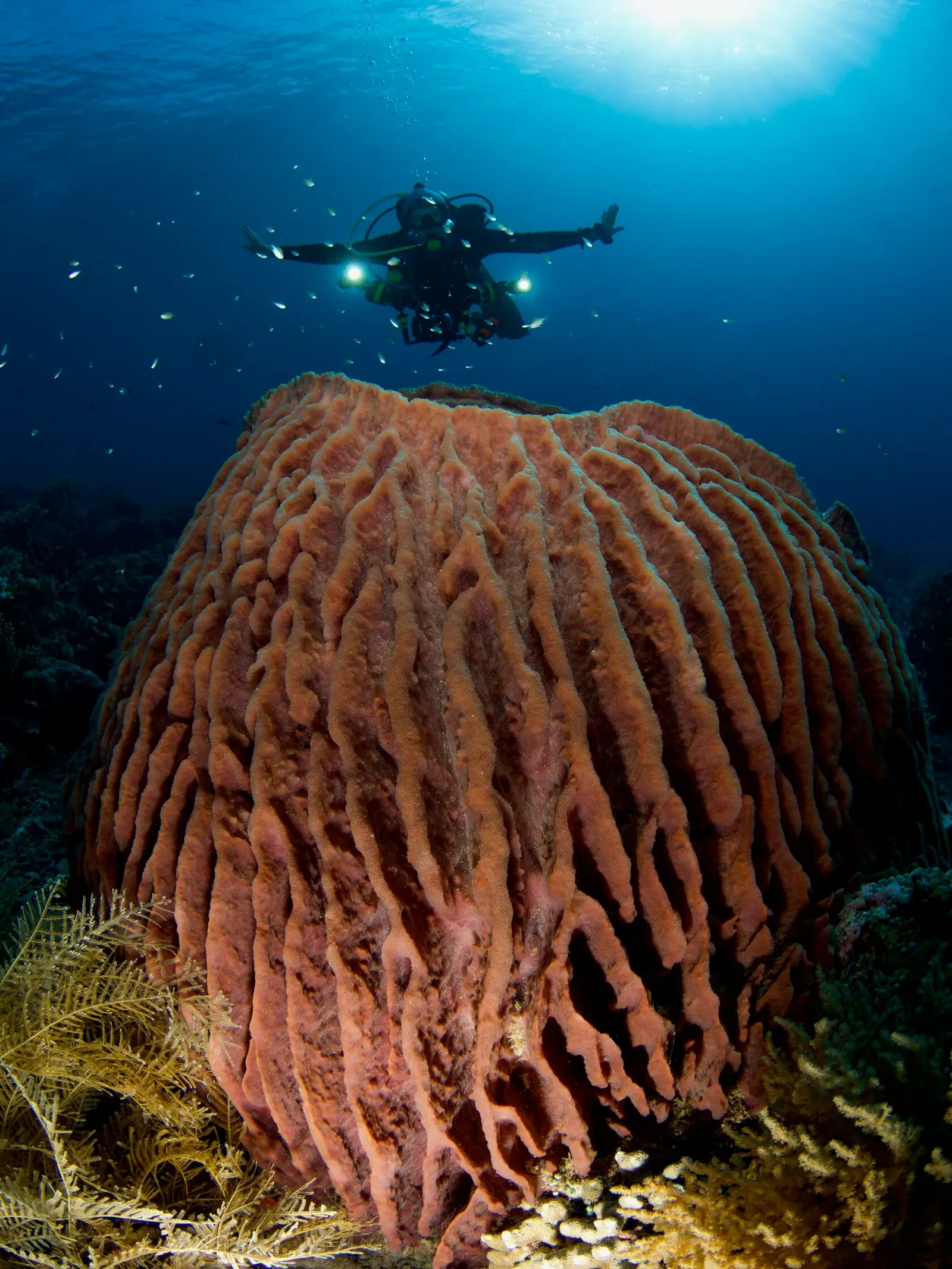 Тубботаха, май 2023