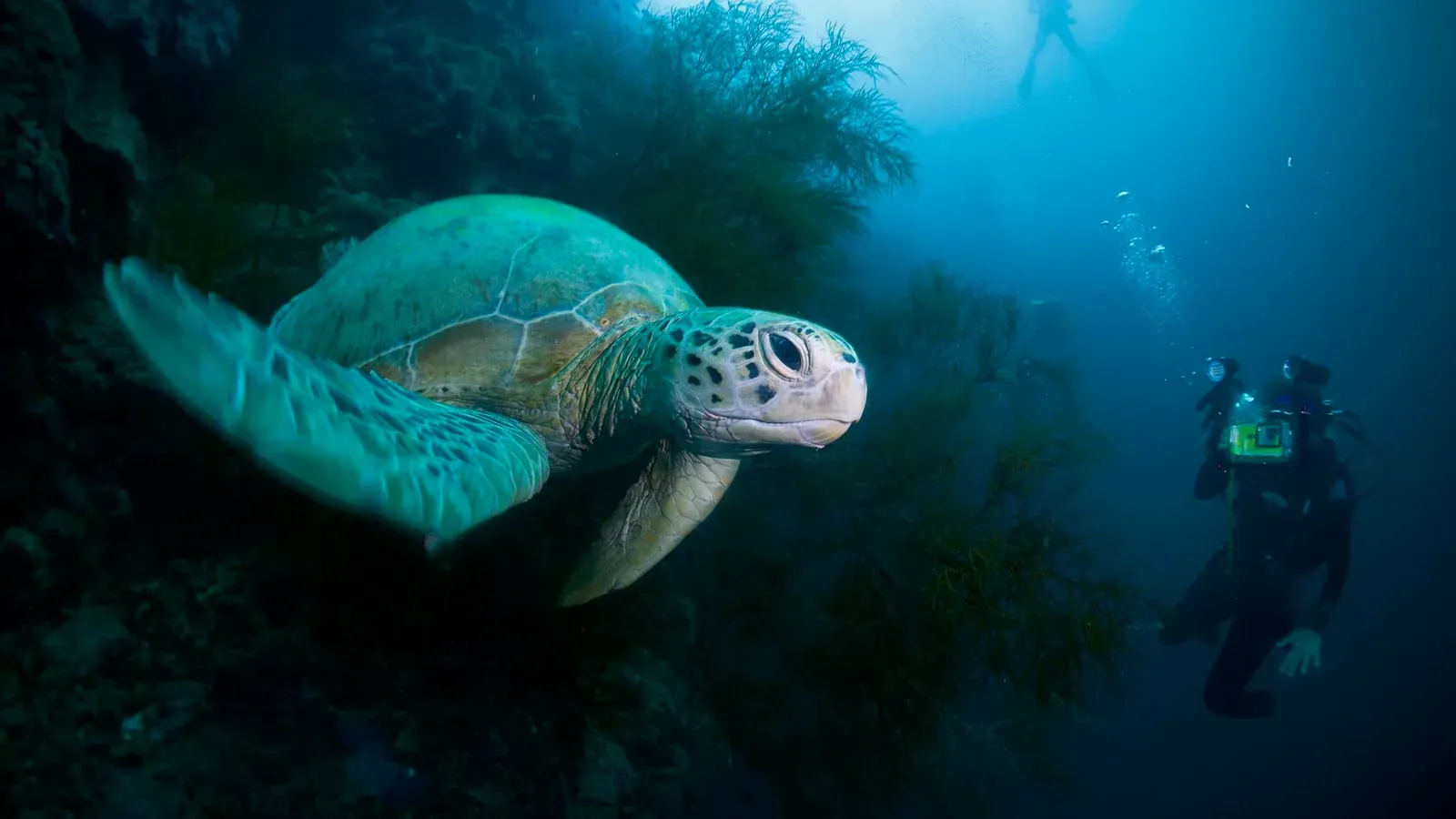 Сипадан, октябрь 2022