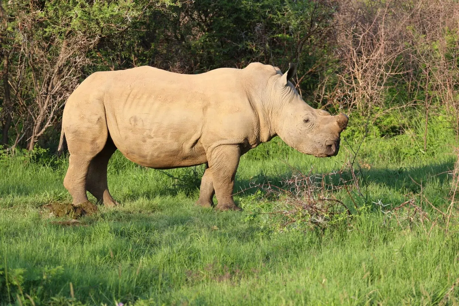 ЮАР, январь 2024