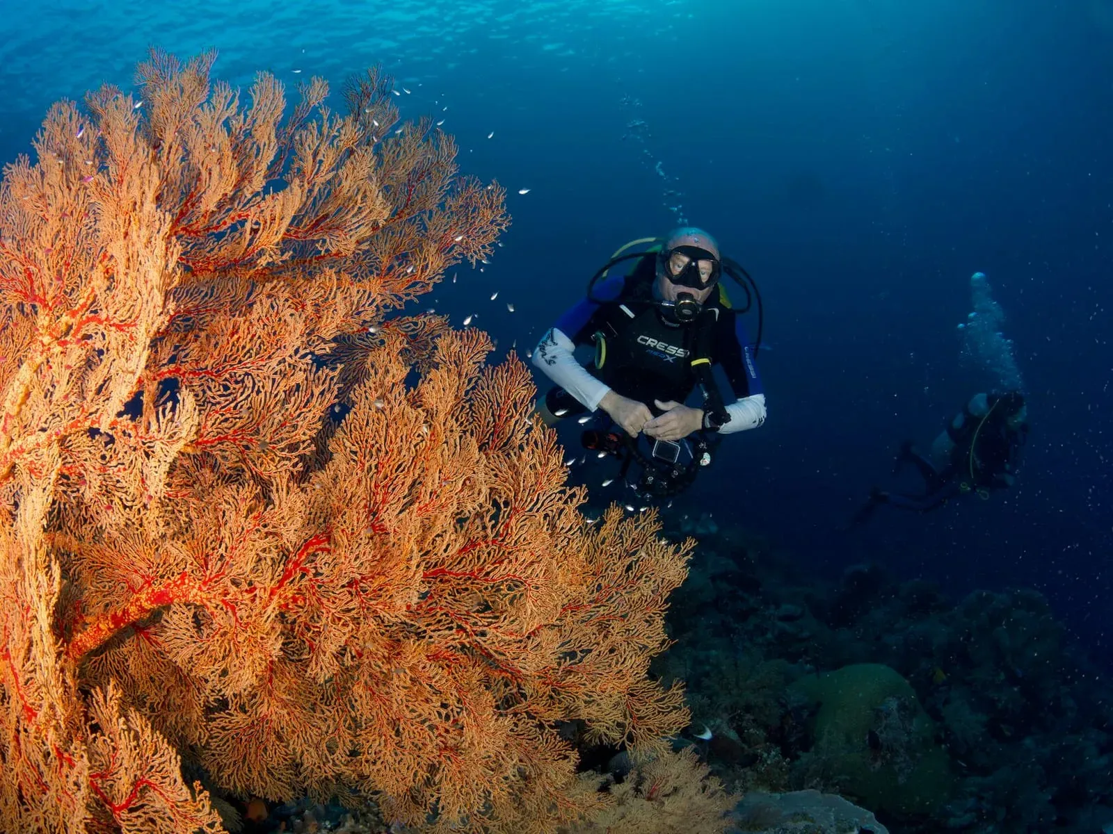 Тубботаха, май 2023